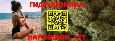 прущие грибы Славгород