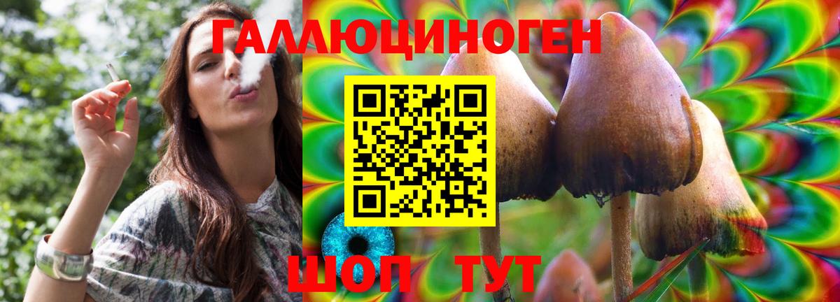 Псилоцибиновые грибы Psilocybine cubensis Новочеркасск